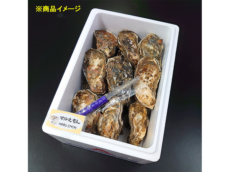 【期間限定2/28まで全国送料込み】厚岸産マルえもん　Mサイズ 20個セット