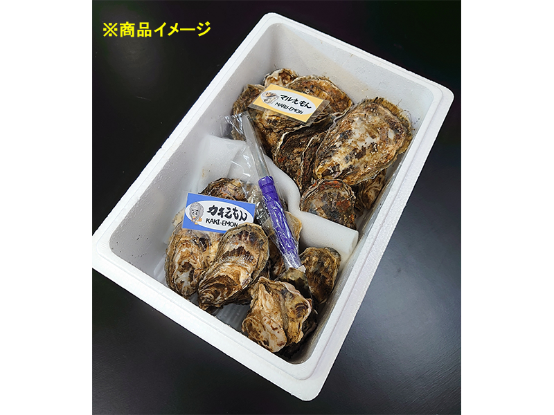 【お盆先取り大特価セール07】厚岸産かき2種食べ比べセット