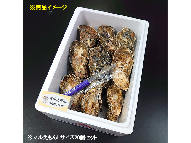 【期間限定2/28まで全国送料込み】厚岸産殻かき　マルえもん　Lサイズ　20個セット