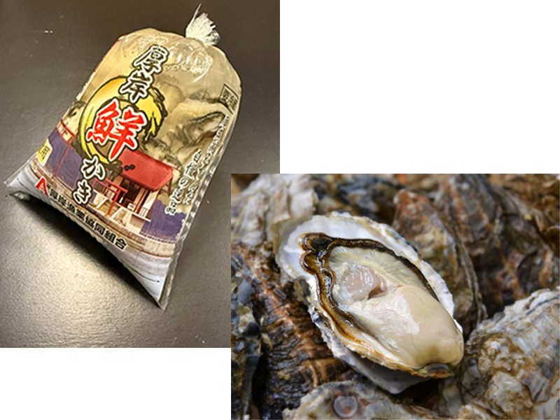 【期間限定2/28まで全国送料込み】厚岸産かきお買得セット