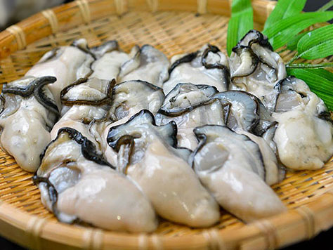 【期間限定3/17まで全国送料込み】厚岸産　むきかき　300g×2pc