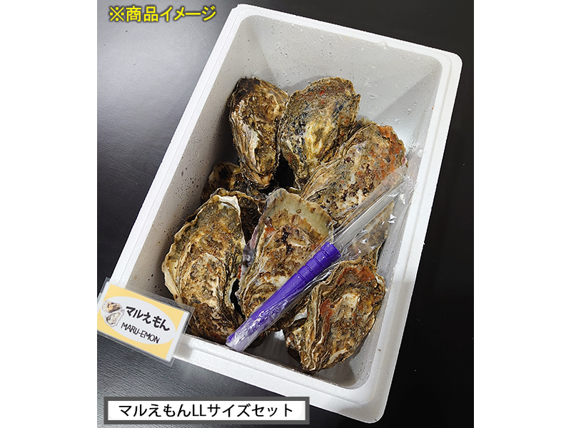 【期間限定4/16まで全国送料込み】殻かきセット（LLサイズ　24個）