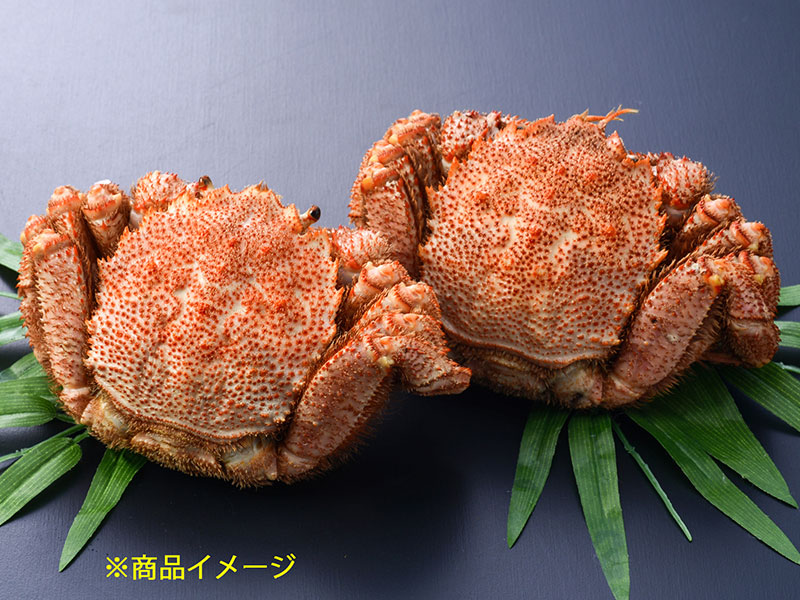 <GW先取り大特価セール14>毛がにセット