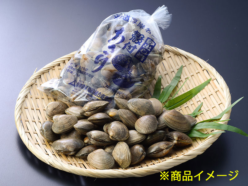 <GW先取り大特価セール9>あさり　大容量セット（中サイズ）