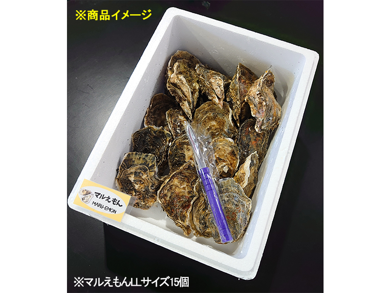 <GW先取り大特価セール7>厚岸産殻付き牡蠣マルえもん　LLサイズ15個セット