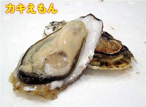 <GW先取り大特価セール5>厚岸産殻付き牡蠣カキえもん　3Lサイズ10個セット