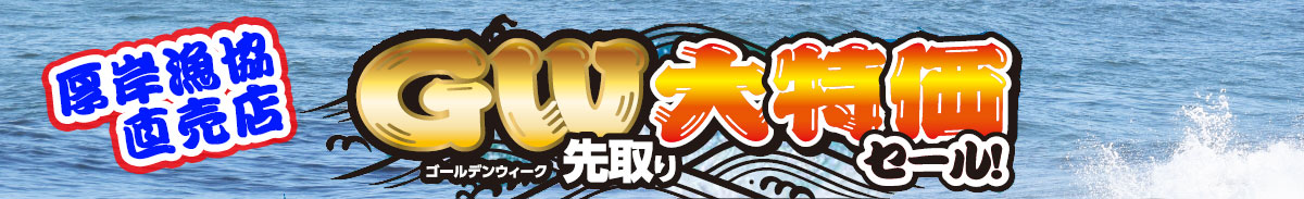 <<GW先取り大特価セール>>