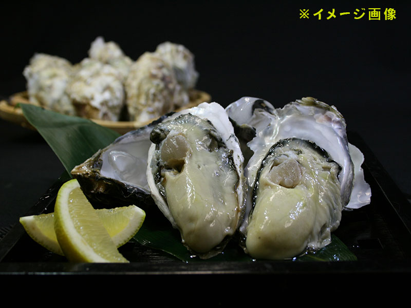 <25周年感謝祭セット01>牡蠣だらけセット