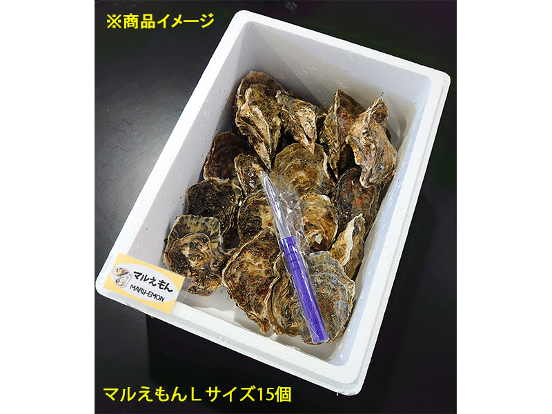 【夏の大特価セール8】厚岸産殻付き牡蠣マルえもん　Lサイズ15個セット