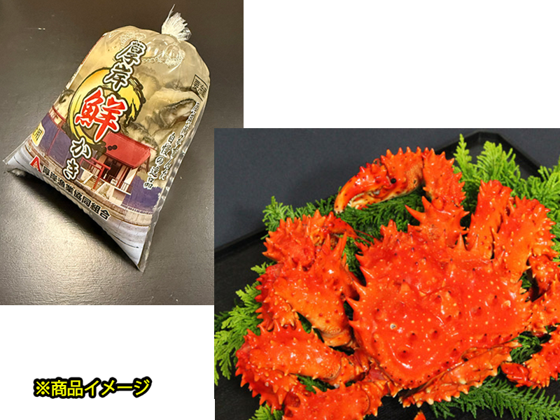 厚岸四本セット 厚岸漁業協同組合直売店エーウロコ / かき入りセット