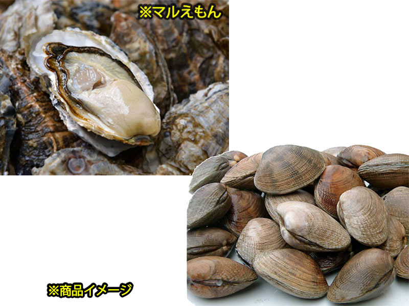 厚岸漁業協同組合直売店エーウロコ / かき入りセット