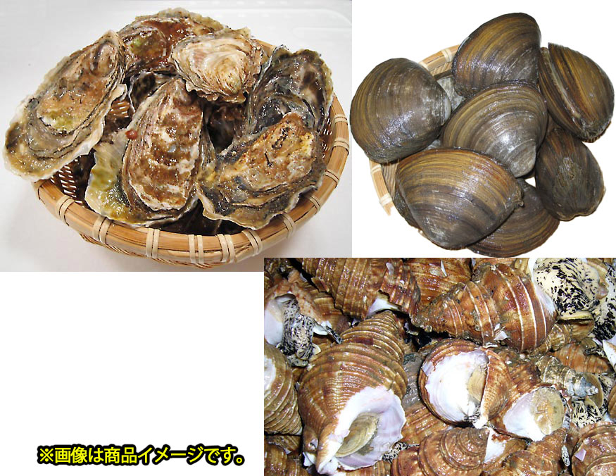 【夏の大特価セール11】BBQセット