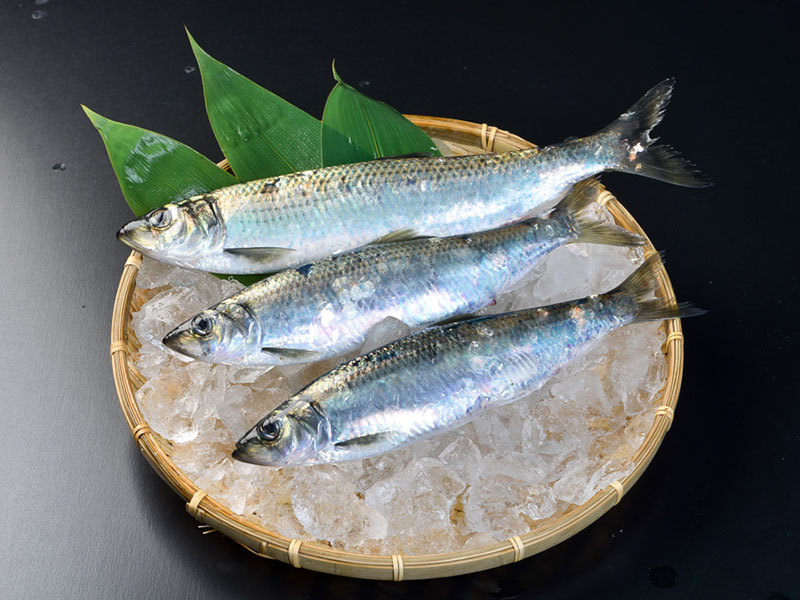 【全国送料込】 厚岸産 鮮にしん