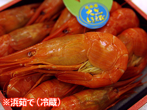 “浜茹で”厚岸産　大黒しまえび