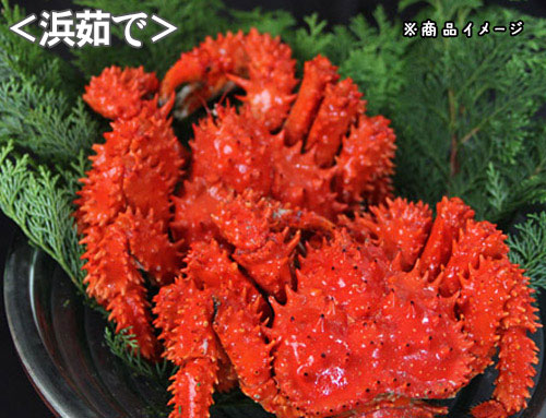 <お盆先取りセール3>北海道産　ボイル花咲がに　約1.5kg(3尾から5尾)