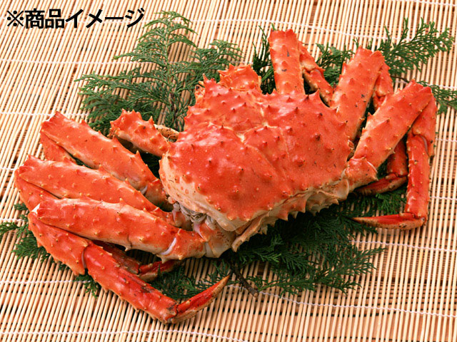 【お盆先取り大特価セール03】北海道産浜茹でたらばがに姿　２尾