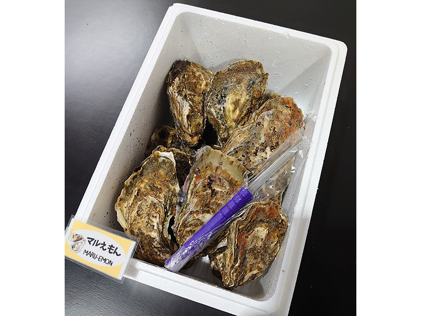 【全国送料込】殻かきセット
