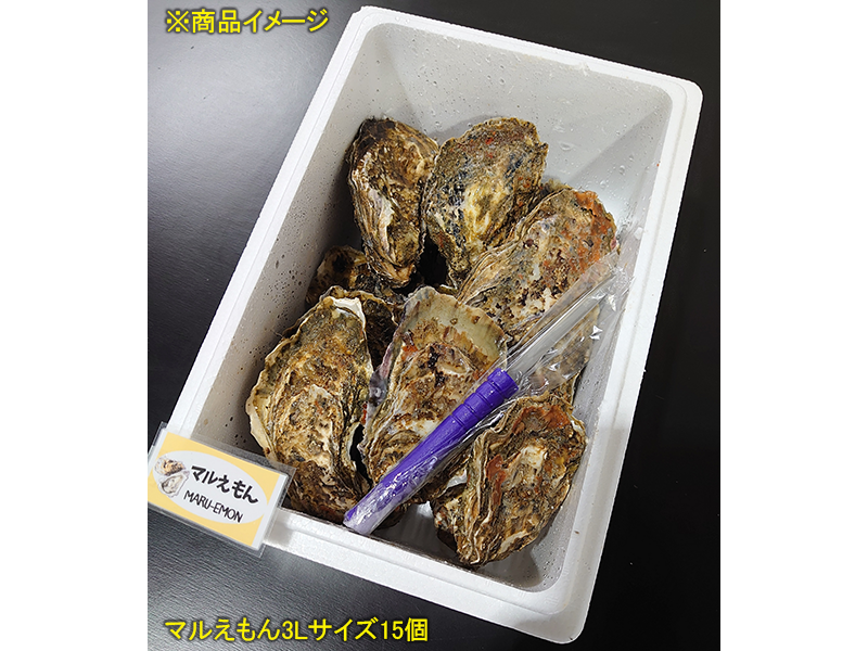 <歳末お取り寄せセット1>厚岸産殻付き牡蠣マルえもん　LLサイズ15個セット