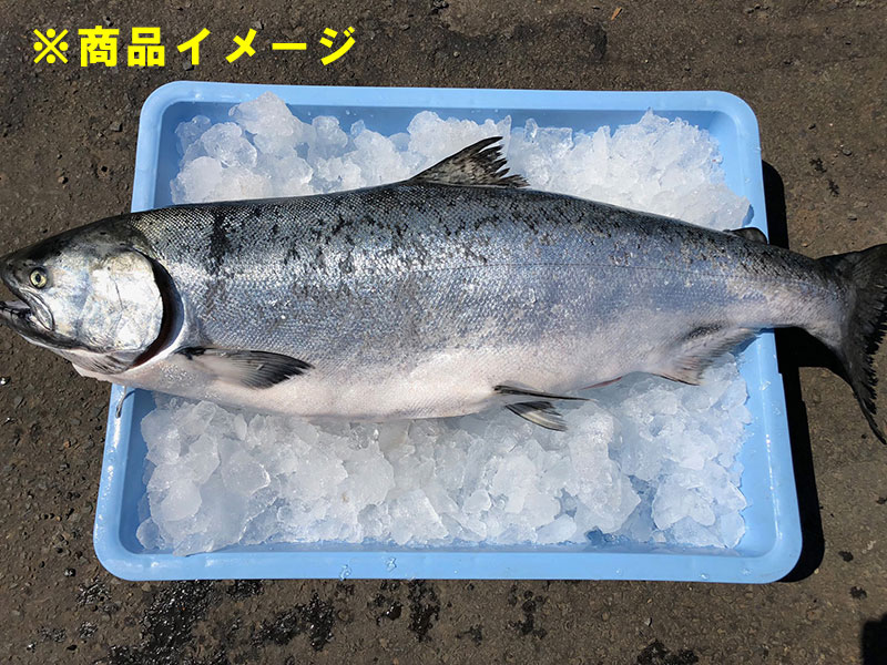 【数量限定】北海道産　冷凍ますの助