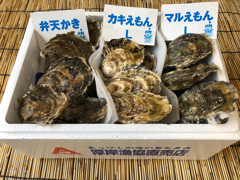 殻かき三種食べ比べセット