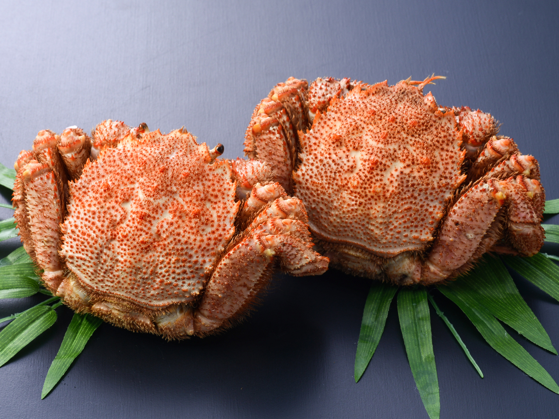 <歳末お取り寄せセット13>北海道産冷凍ボイル毛がに　500g-550g前後×2尾セット