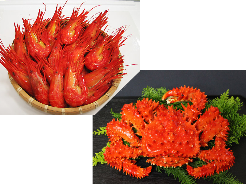 <歳末お取り寄せセット10>かに・えび食べ比べセット