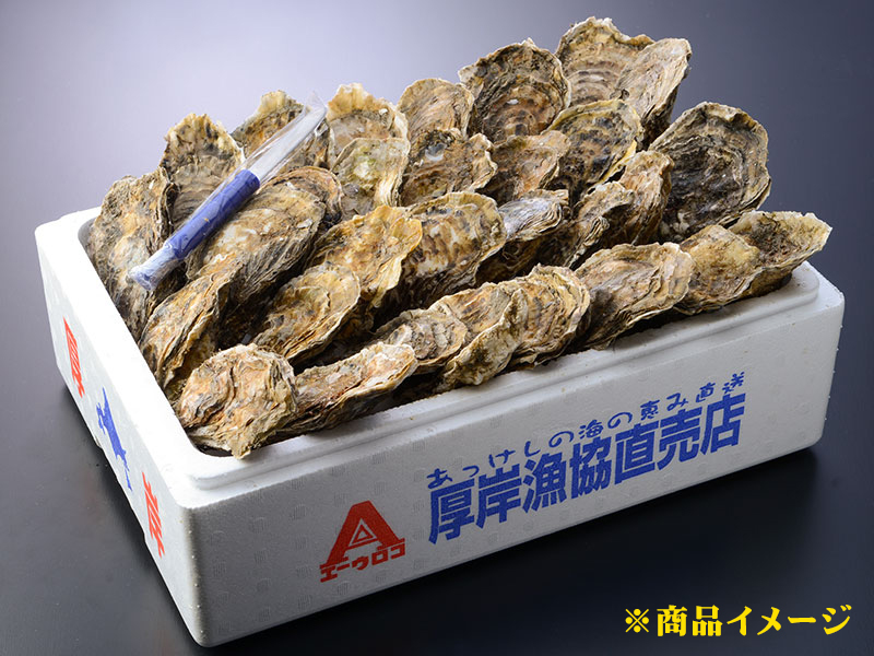 お買い得　活貝セット