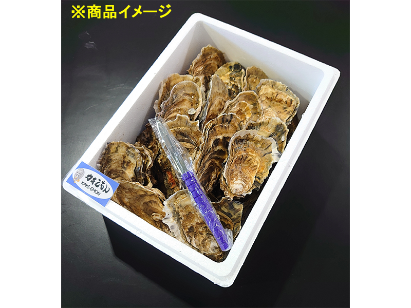 <歳末お取り寄せセット4>厚岸産殻付き牡蠣カキえもん Lサイズ 20個セット