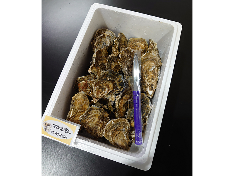 <歳末お取り寄せセット2>厚岸産殻付き牡蠣マルえもん　Lサイズ　15個セット