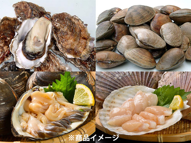 <歳末お取り寄せセット7>かき・あさり・ほっき・ほたてセット